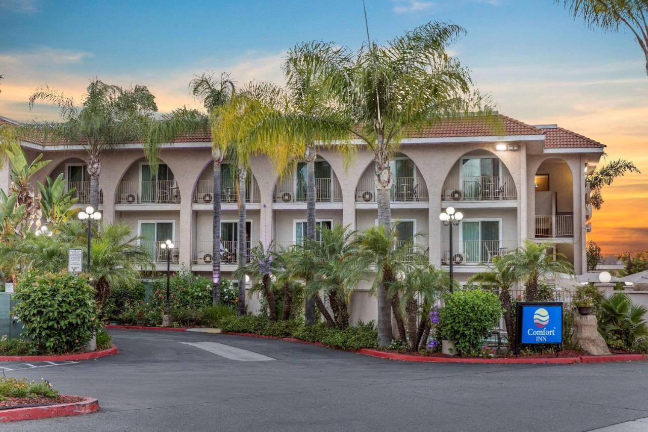 Comfort Inn Escondido San Diego North County Eksteriør billede